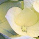 สมาชิกหมายเลข 3270839