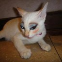 สมาชิกหมายเลข 709927