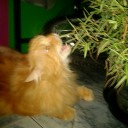 สมาชิกหมายเลข 1410527