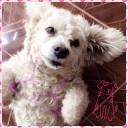 สมาชิกหมายเลข 1623357