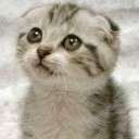 สมาชิกหมายเลข 701786