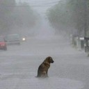 สมาชิกหมายเลข 1622607