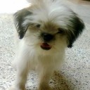 สมาชิกหมายเลข 807016