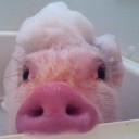 สมาชิกหมายเลข 1624295