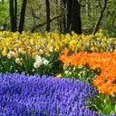 สมาชิกหมายเลข 2049817