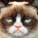 สมาชิกหมายเลข 1826317