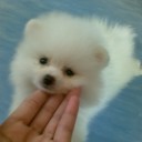 สมาชิกหมายเลข 717755