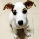 สมาชิกหมายเลข 1624484