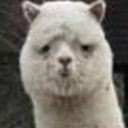 เราซักกางเกงในของใครอยู่?!