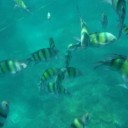 สมาชิกหมายเลข 3272694