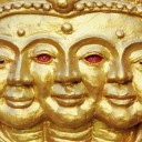 หน้าแมว