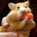 สมาชิกหมายเลข 2050799