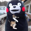 สมาชิกหมายเลข 1477777