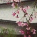 สมาชิกหมายเลข 808392