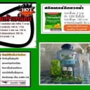 สมาชิกหมายเลข 1206283