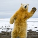 สมาชิกหมายเลข 2051026