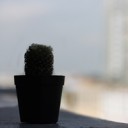 สมาชิกหมายเลข 2460787