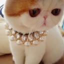 สมาชิกหมายเลข 2502552