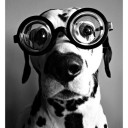 สมาชิกหมายเลข 1211754