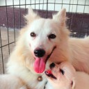 นางสาวไข่ต้ม