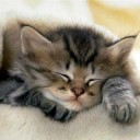 สมาชิกหมายเลข 808746