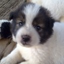 สมาชิกหมายเลข 1206932