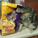 หมี่ขาวแห้งไม่หมู