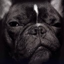 สมาชิกหมายเลข 2041664