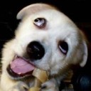 สมาชิกหมายเลข 1261107