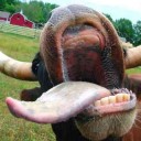 สมาชิกหมายเลข 2080747