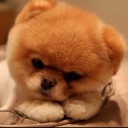 สมาชิกหมายเลข 1119966