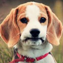 สมาชิกหมายเลข 2831067