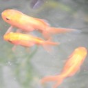 สมาชิกหมายเลข 2841240