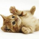 สมาชิกหมายเลข 2362587