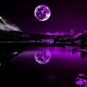 สมาชิกหมายเลข 3274521