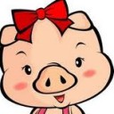 หมูหิน บินบิน