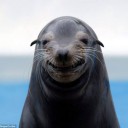 สมาชิกหมายเลข 1610186