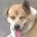 สมาชิกหมายเลข 1626206