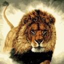 สมาชิกหมายเลข 881467