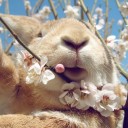 สมาชิกหมายเลข 1953608