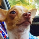 สมาชิกหมายเลข 2484282