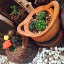 สมาชิกหมายเลข 2353972