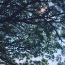 สมาชิกหมายเลข 3274955