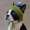 สมาชิกหมายเลข 722067