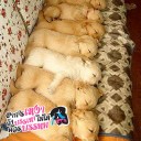 สมาชิกหมายเลข 807954