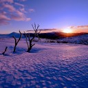 สมาชิกหมายเลข 1264838