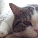 สมาชิกหมายเลข 1527661