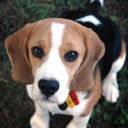 สมาชิกหมายเลข 3275611