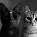 สมาชิกหมายเลข 1627341