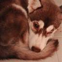 สมาชิกหมายเลข 712671